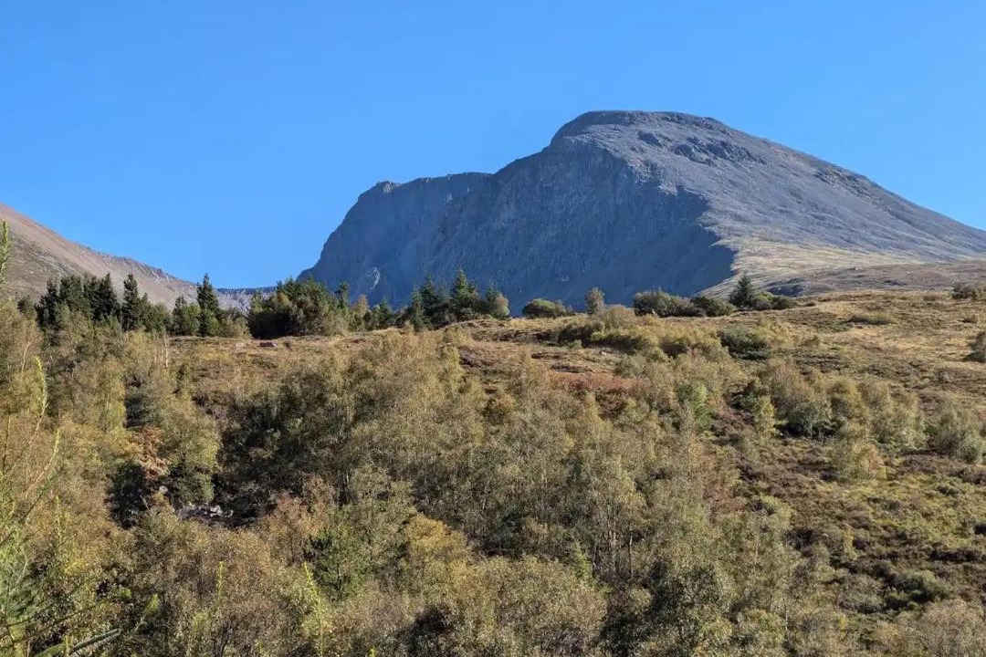 Photo of Others in Torlundy