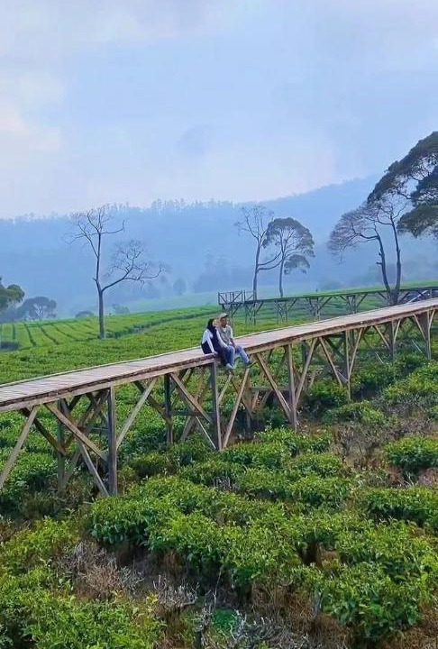 Photo of Others in Pangalengan