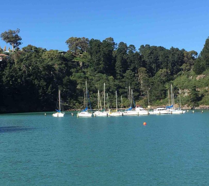 Photo of Others in Diamond Harbour