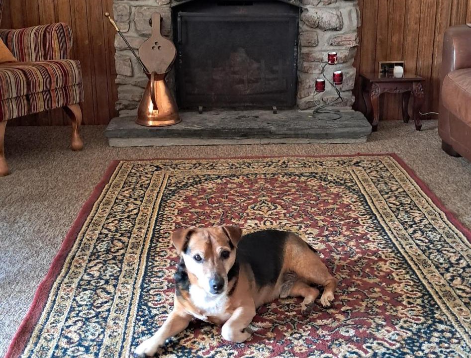 Photo of Livingroom in Glenfinnan