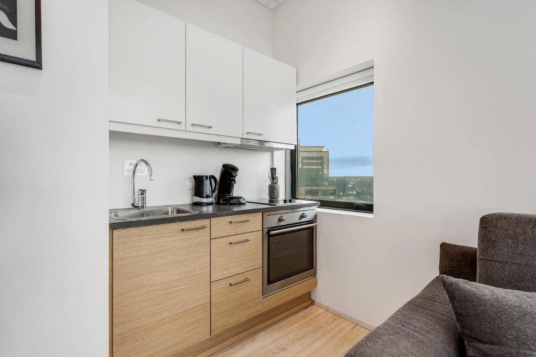 Photo of Others in Kopavogur