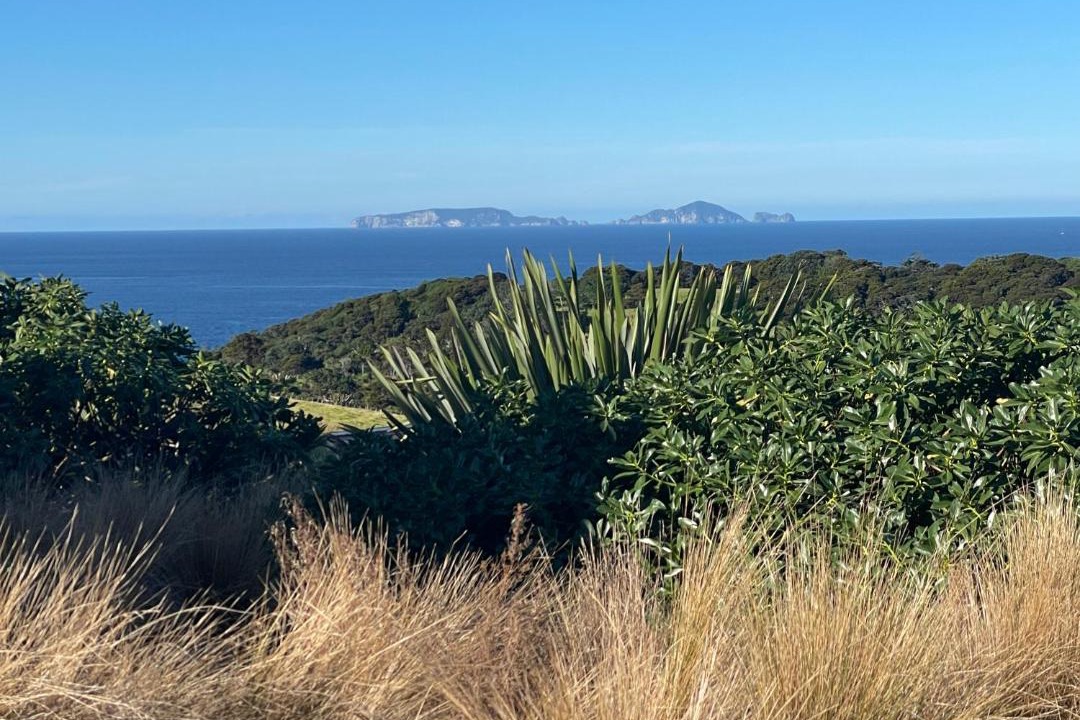 Photo of Others in Tutukaka