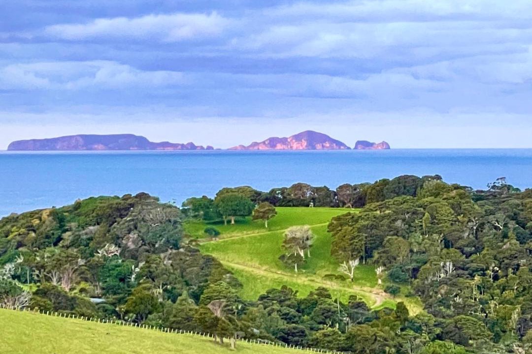 Photo of Others in Tutukaka