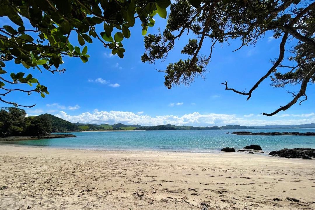 Photo of Others in Tutukaka
