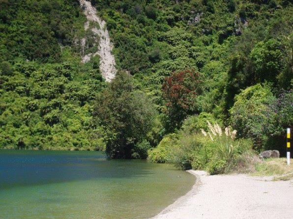 Photo of Others in Lake Tarawera