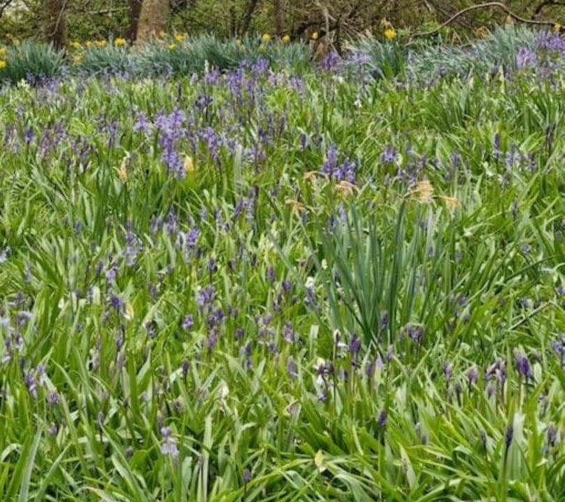 Photo of Outdoor in Dingwall