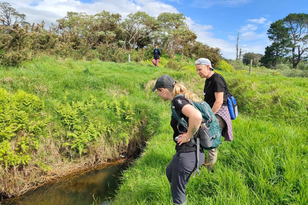 Photo of Others in Awhitu
