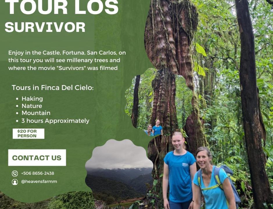 Photo of Others in La Fortuna