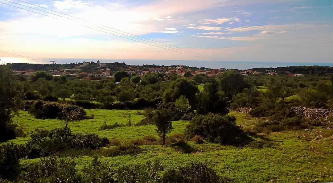 Photo of Others in Agios Leon