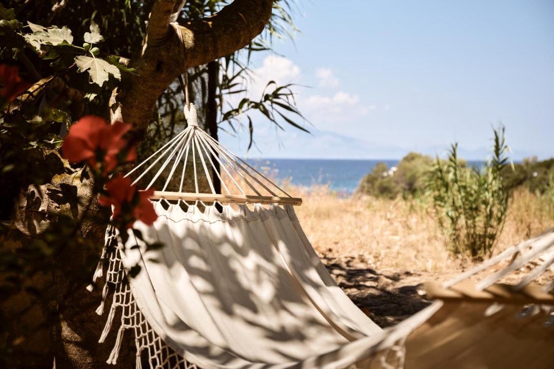 Photo of Others in Alikanas