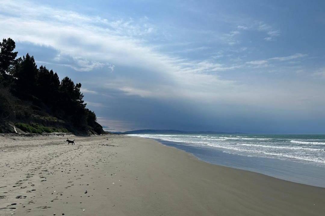 Photo of Others in Waikuku Beach