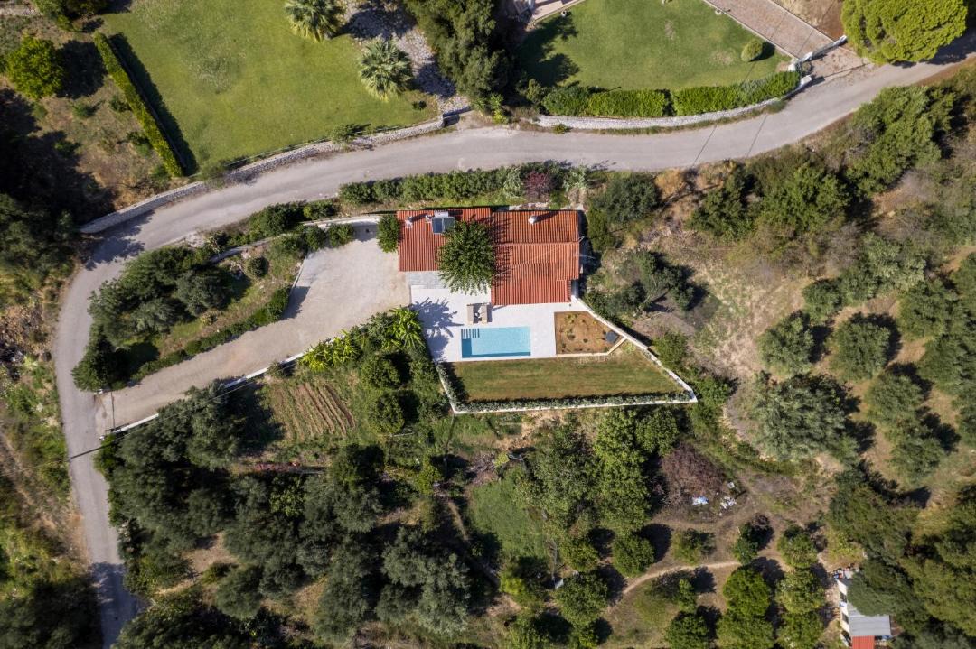 Photo of Others in Spartia