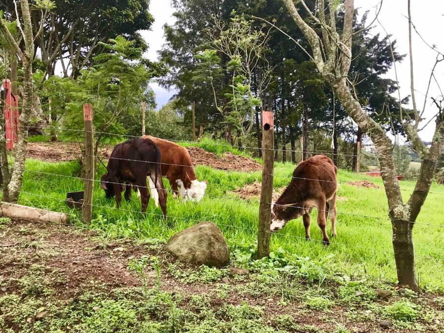 Photo of Others in Cartago