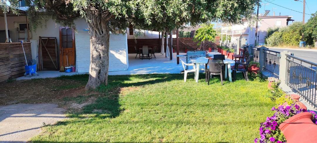 Photo of Others in Skala Sotiros