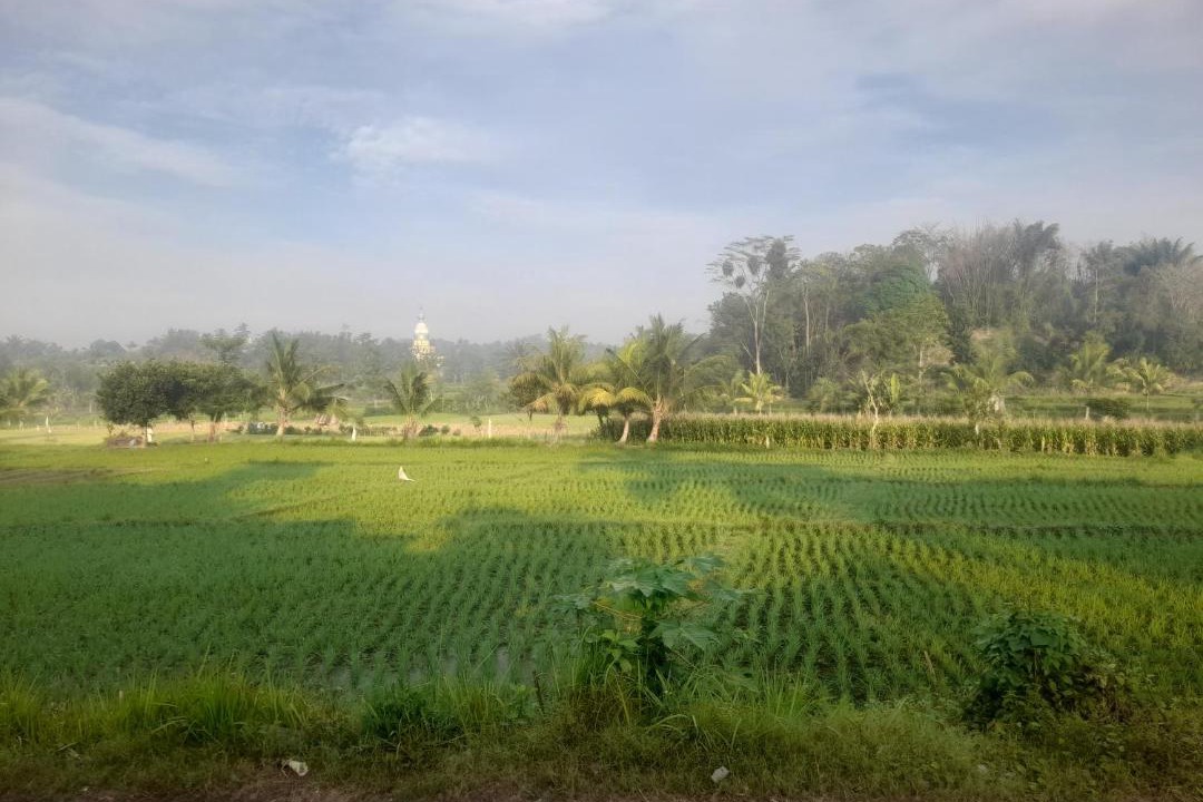 Photo of Others in Batukliang