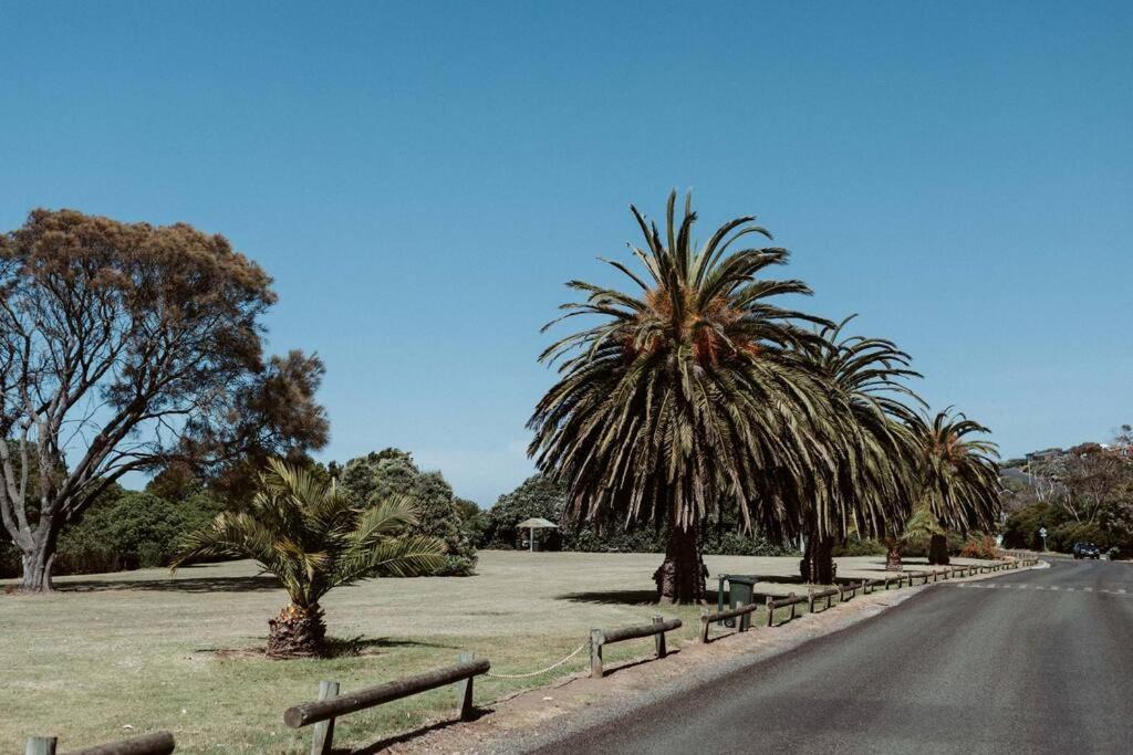 Photo of Others in Devonport
