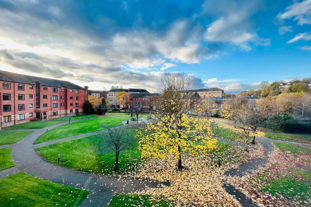 Photo of Others in North Glasgow