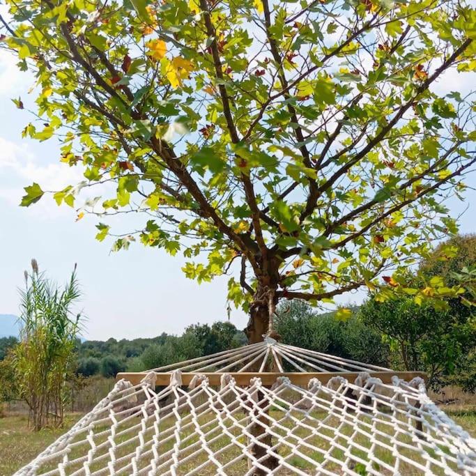 Photo of Outdoor in Trifylia