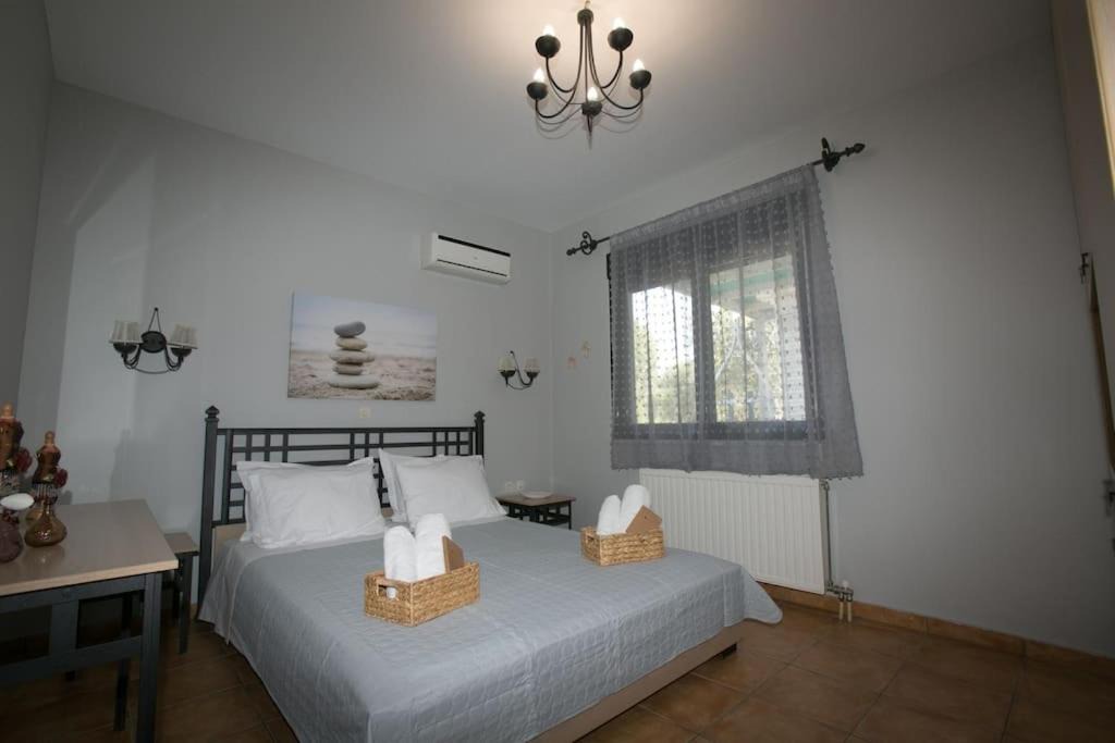 Photo of Others in Kefalonia