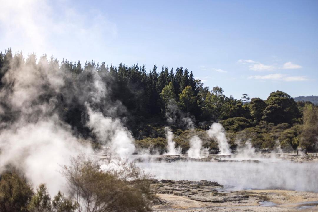 Photo of Others in Rotorua