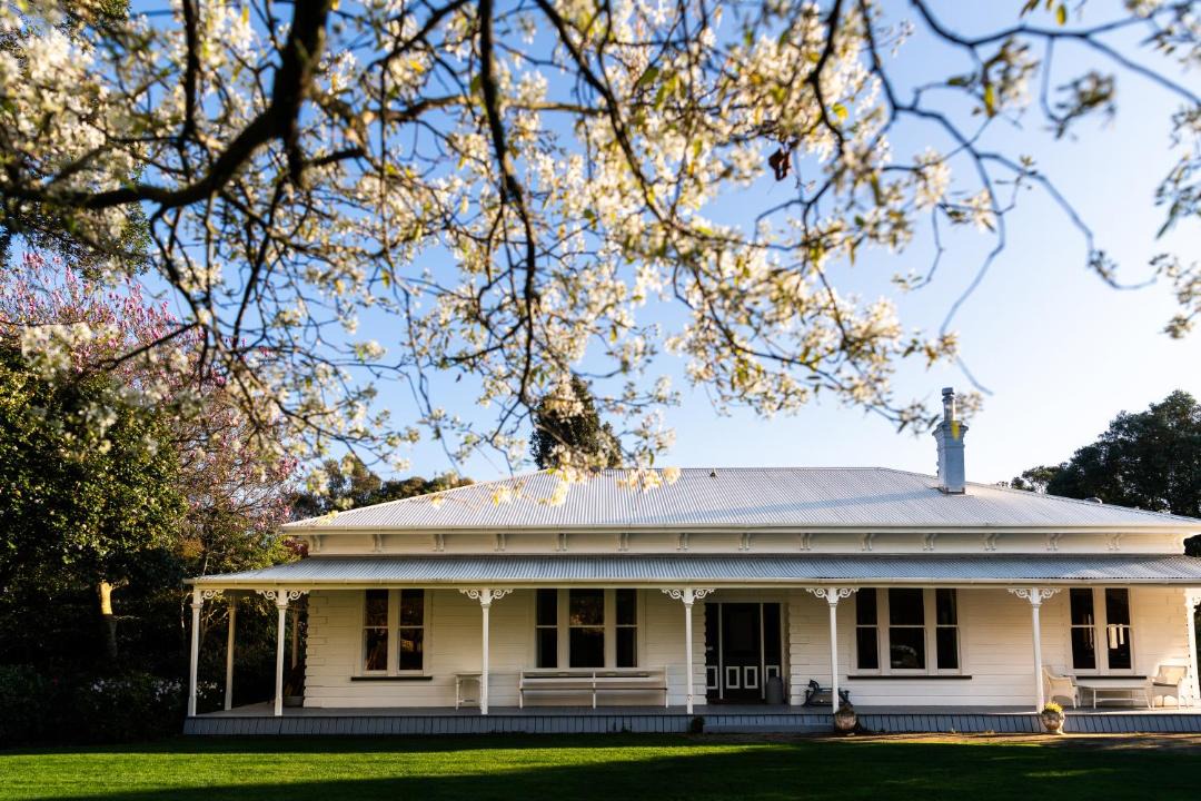 Photo of Others in Kiwitea