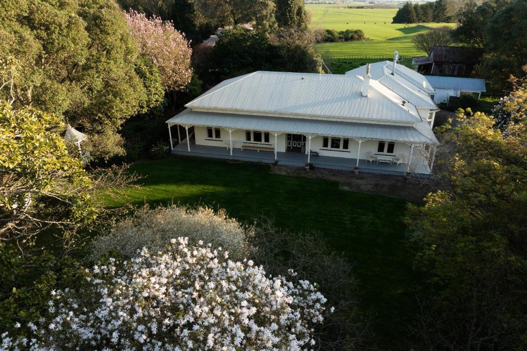 Photo of Others in Kiwitea