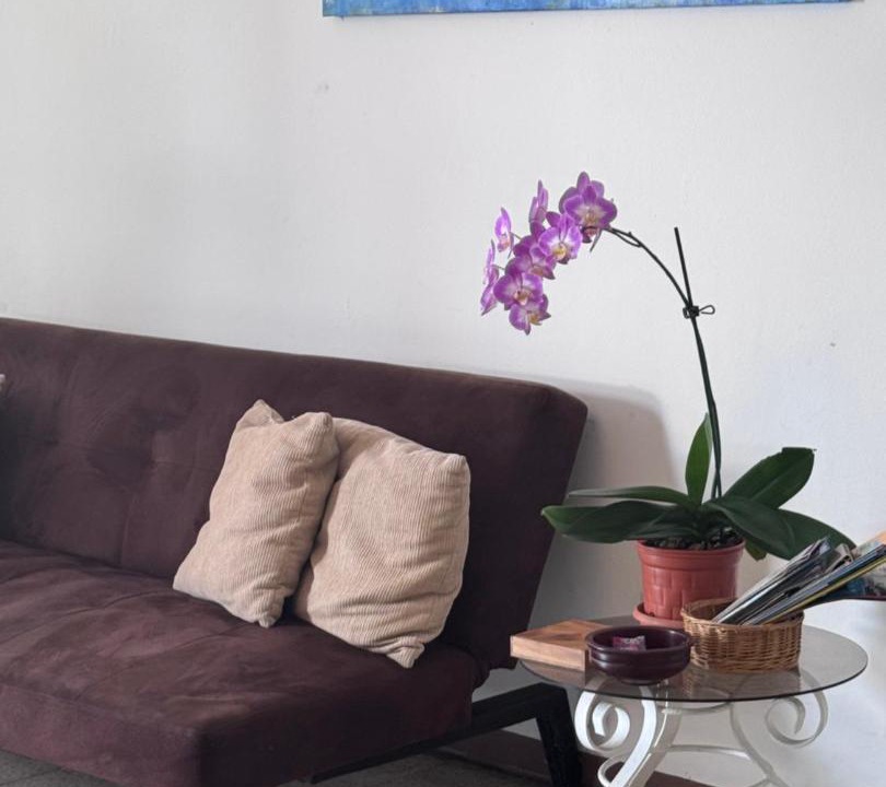 Photo of Livingroom in Mata Redonda