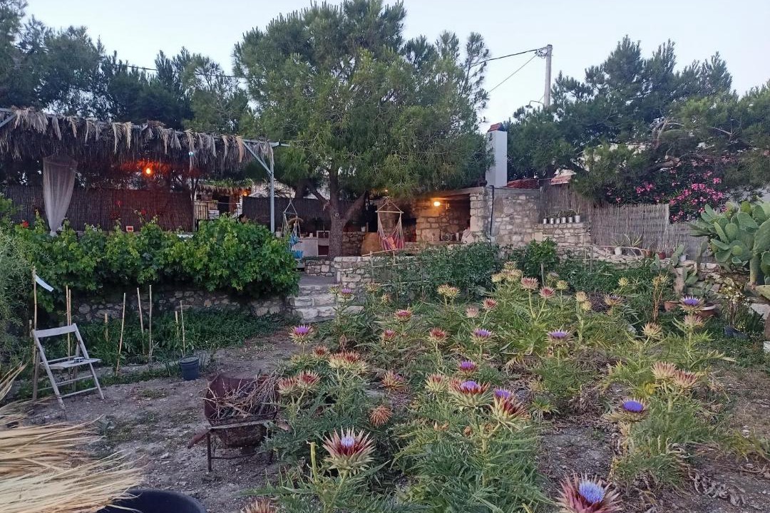 Photo of Others in Minoa Pediada