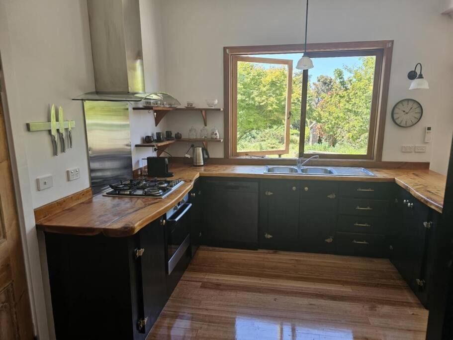 Photo of Kitchen in West Hobart
