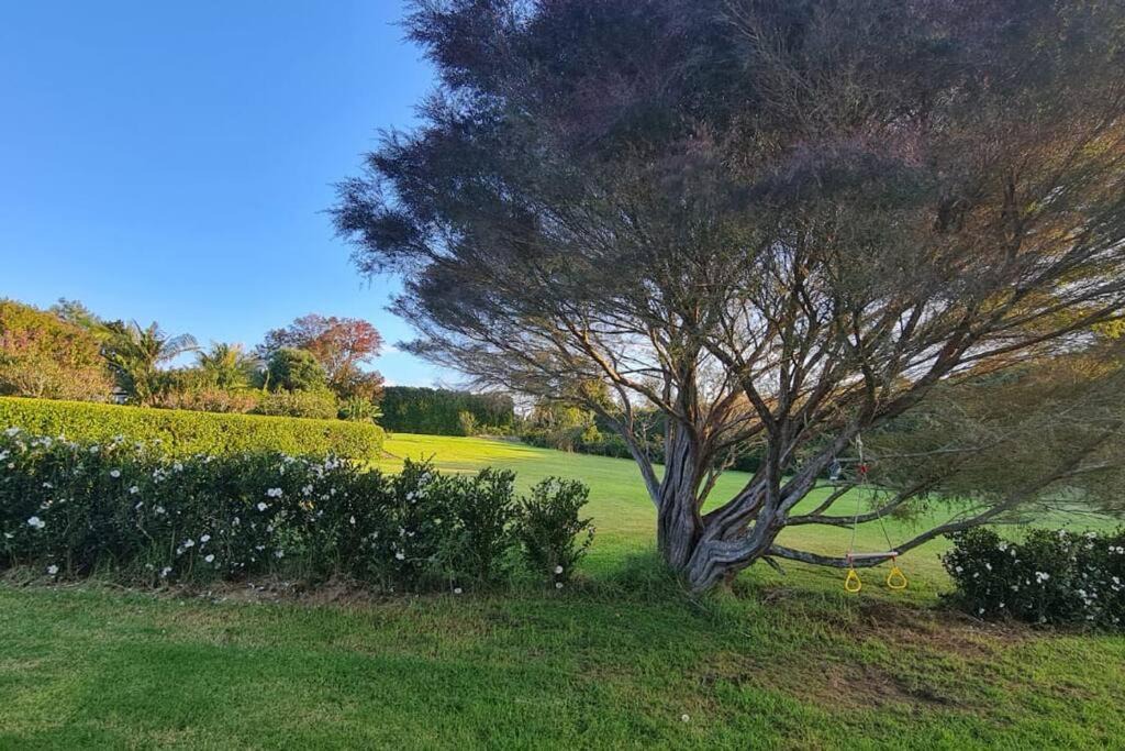 Photo of Others in Kerikeri
