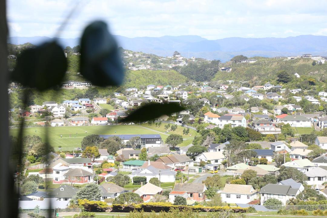 Photo of Others in Johnsonville