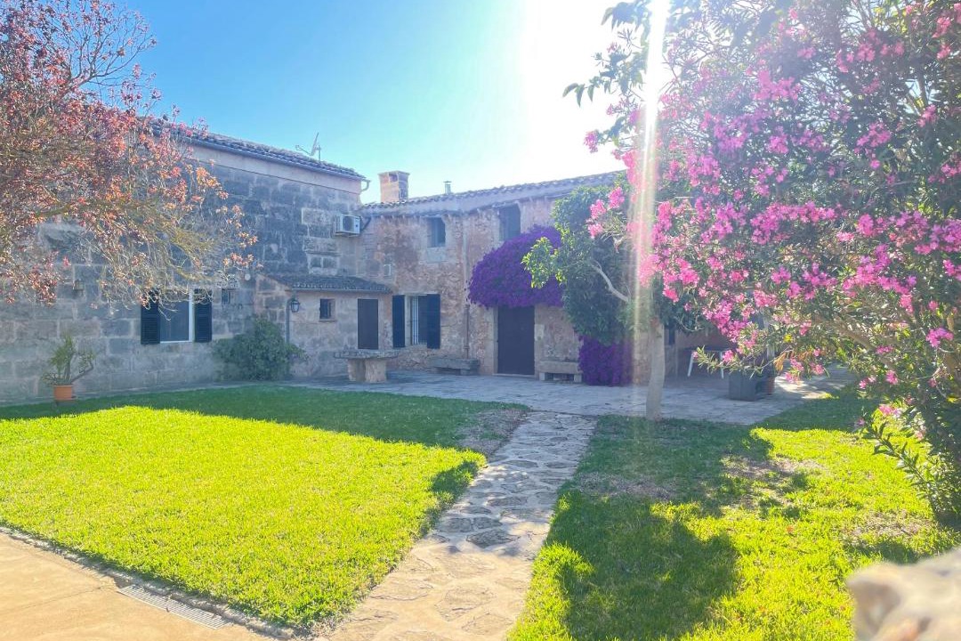 Photo of Others in l'Aranjassa