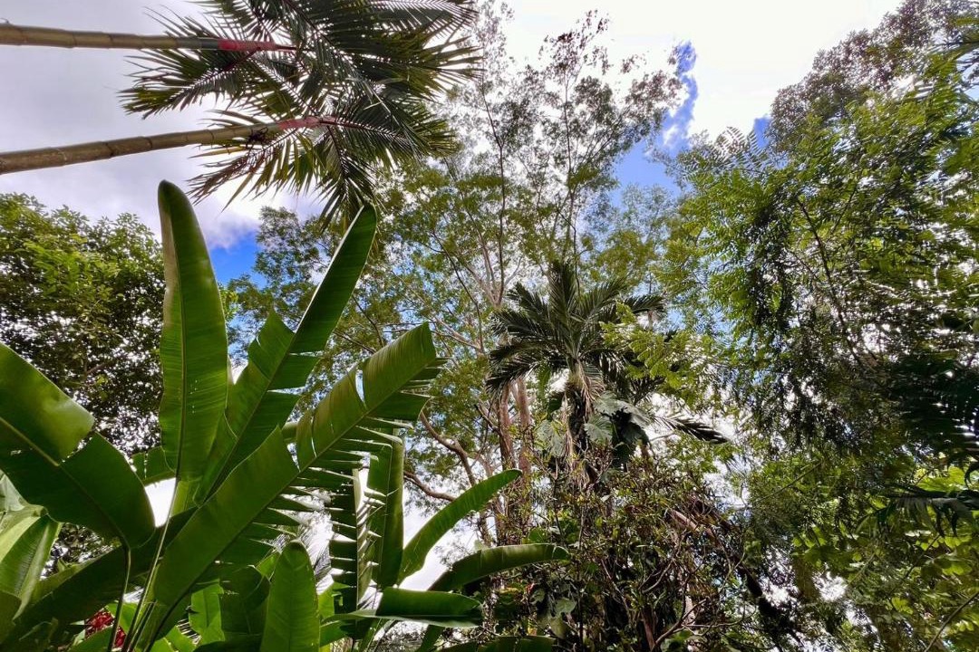 Photo of Outdoor in Portalon