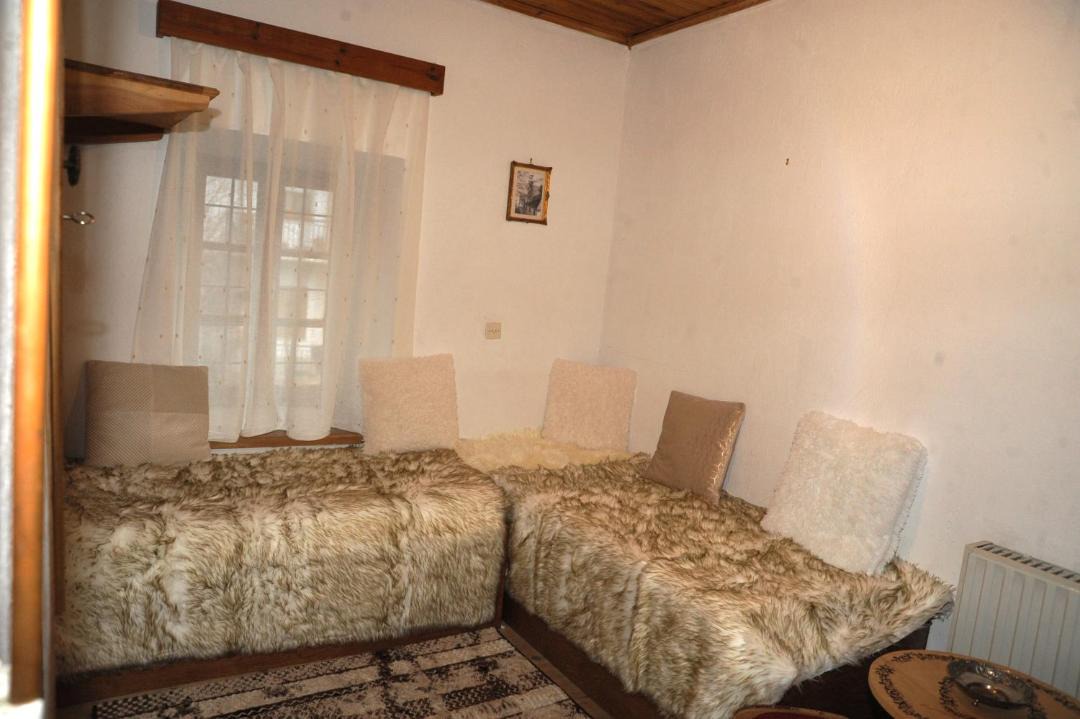 Photo of Others in Metsovo