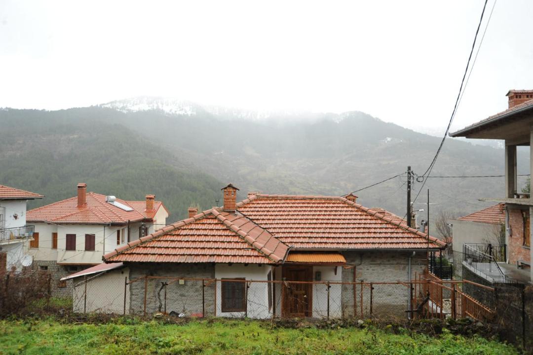 Photo of Others in Metsovo
