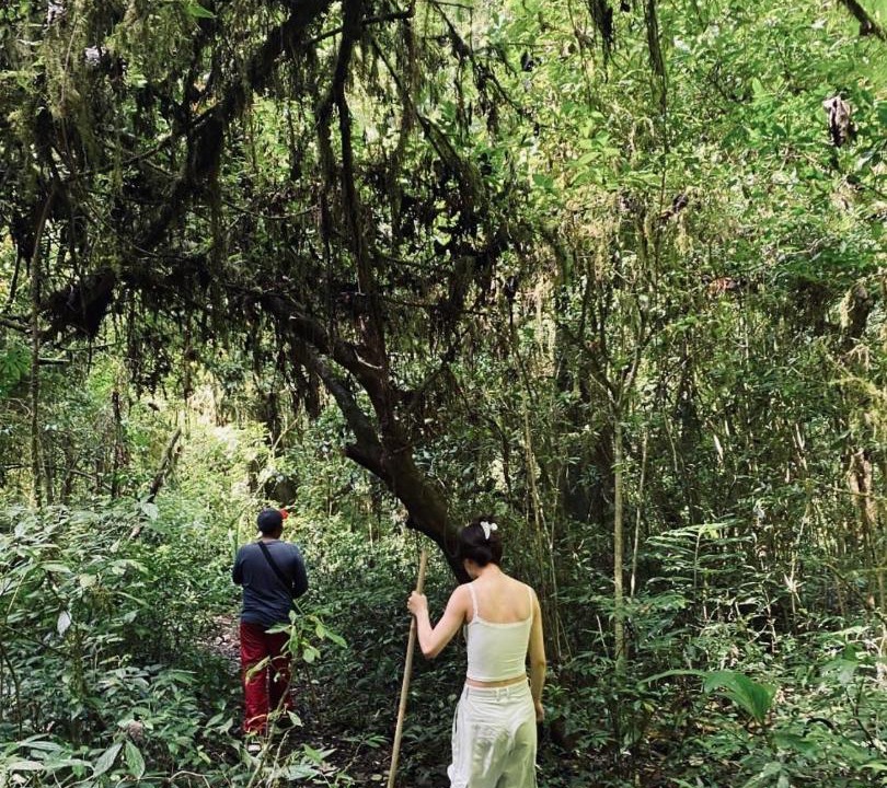 Photo of Others in Wanagiri