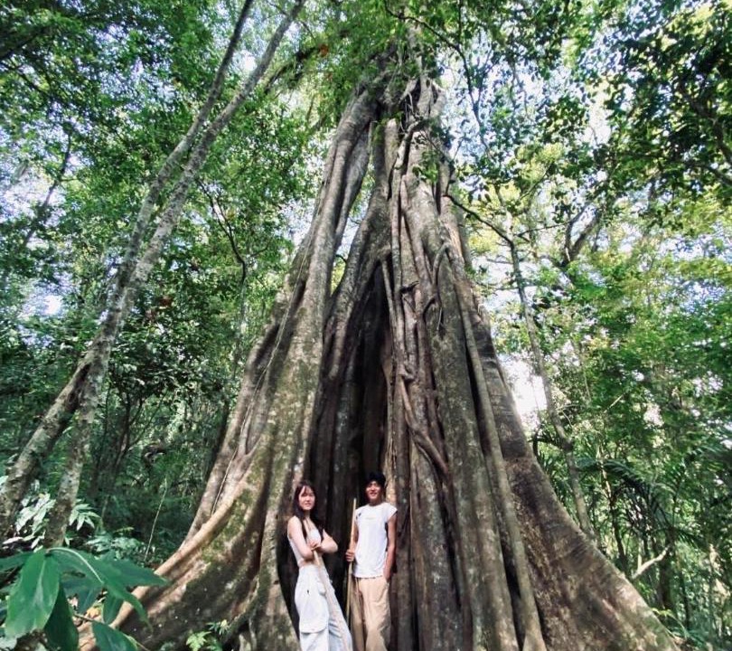 Photo of Others in Wanagiri