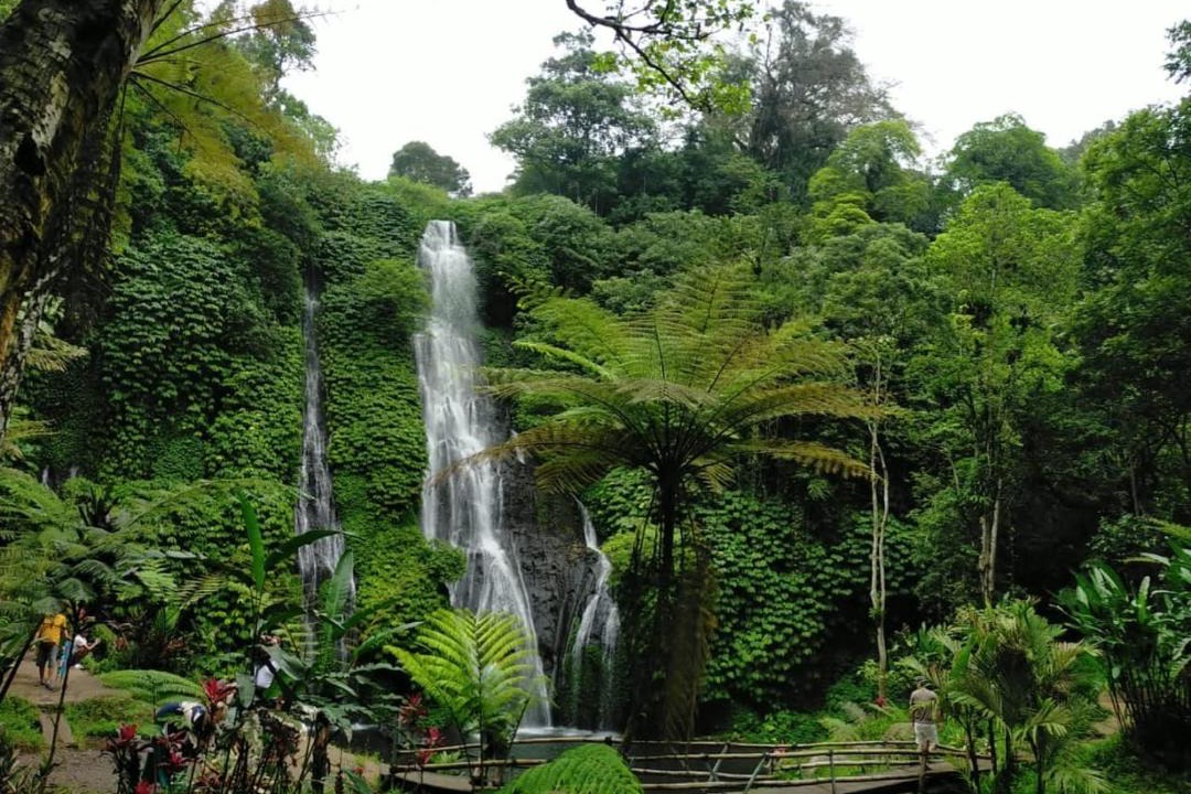 Photo of Others in Wanagiri