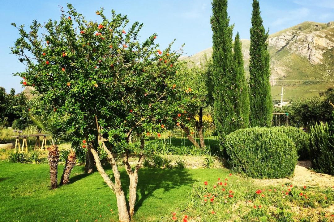 Photo of Outdoor in Castellammare del Golfo