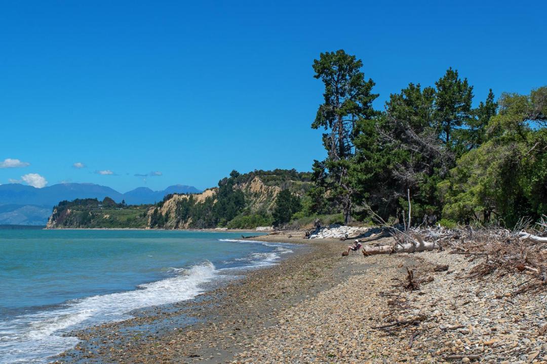 Photo of Others in Tasman