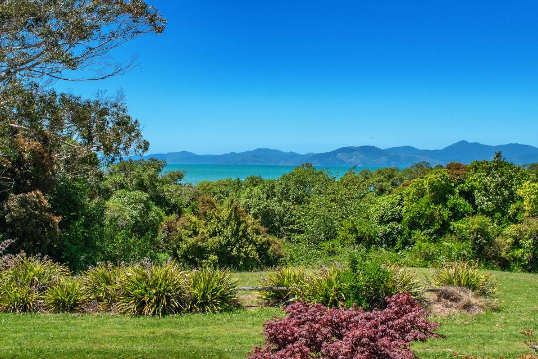 Photo of Others in Tasman
