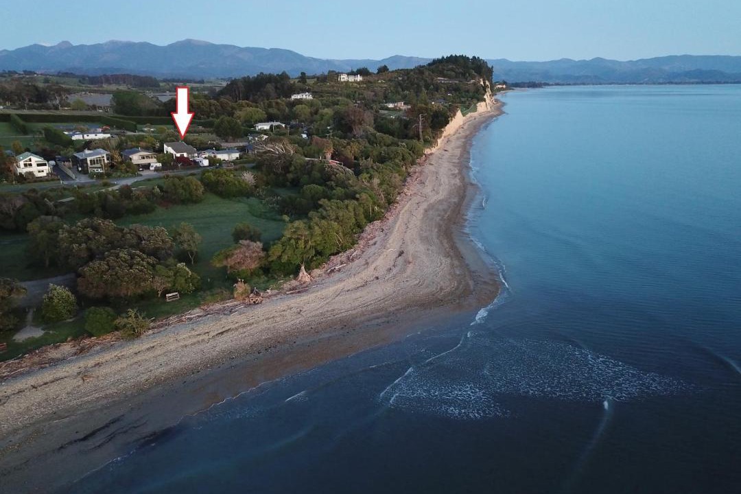 Photo of Others in Tasman