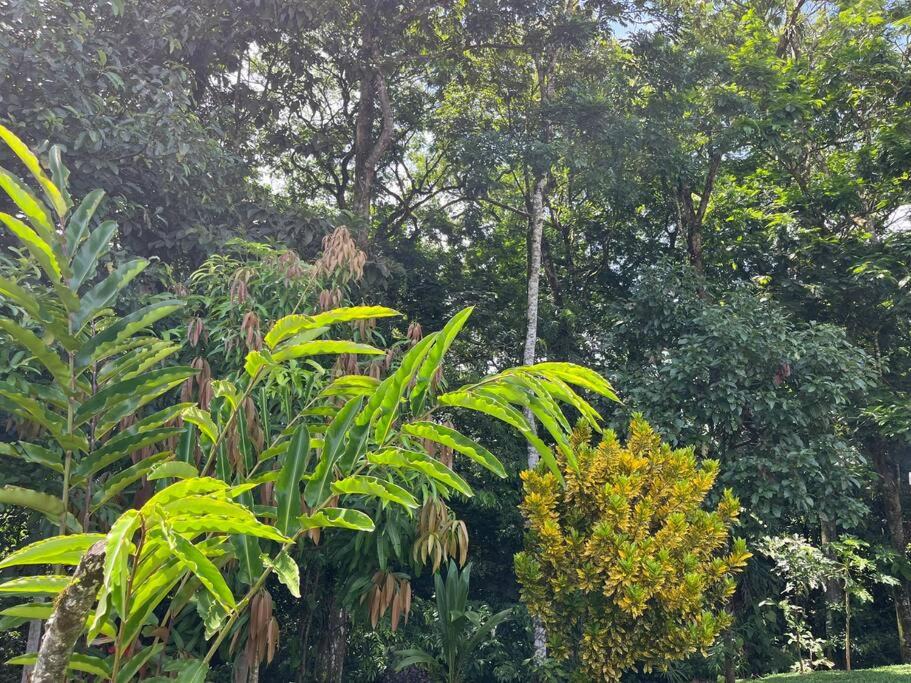 Photo of Outdoor in Chilamate