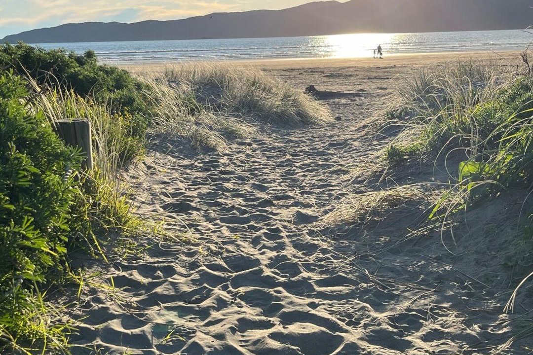 Photo of Others in Paraparaumu Beach