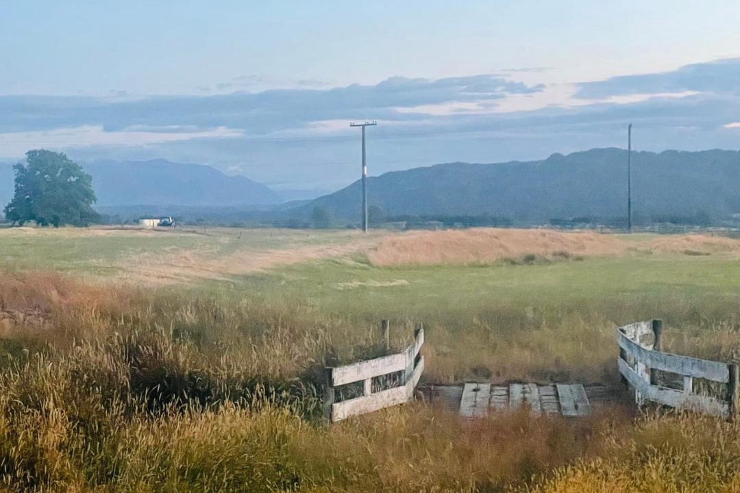 Photo of Others in Ikamatua