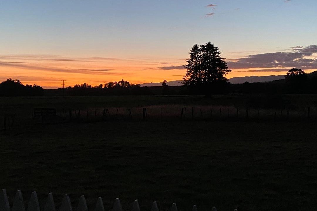 Photo of Others in Ikamatua