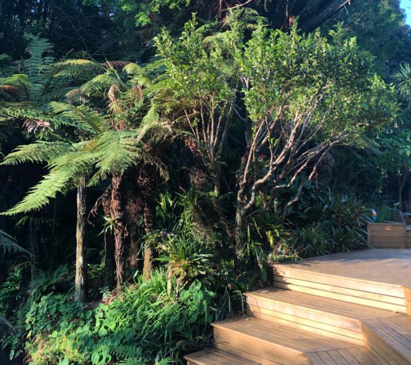 Photo of Others in New Plymouth