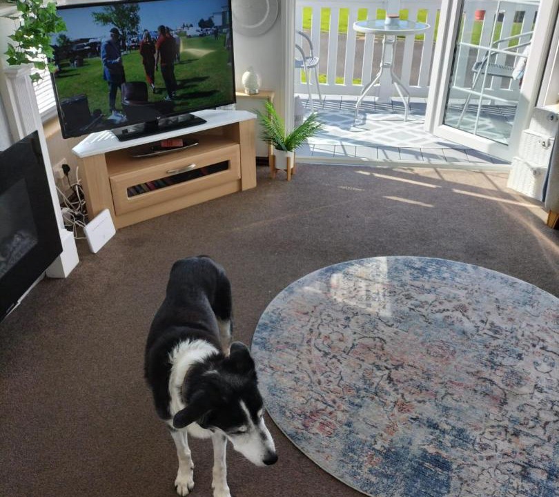 Photo of Livingroom in Girvan