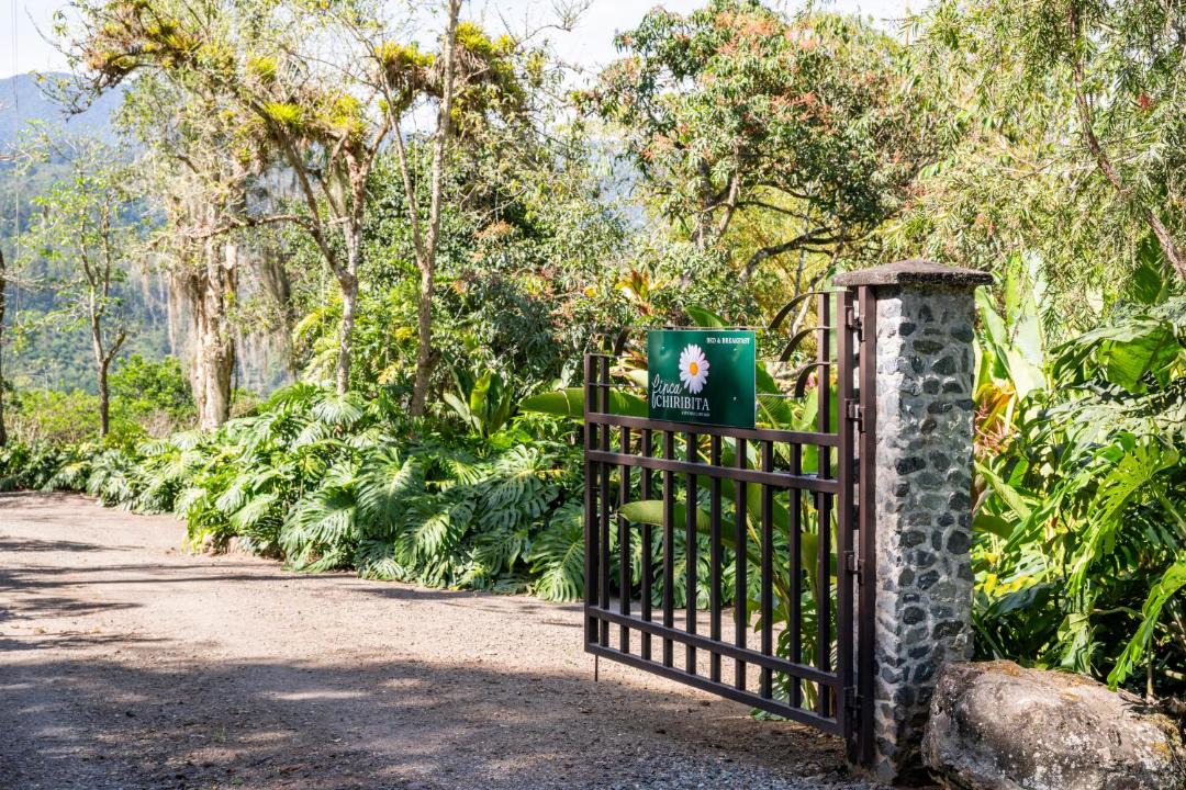 Photo of Outdoor in Orosi