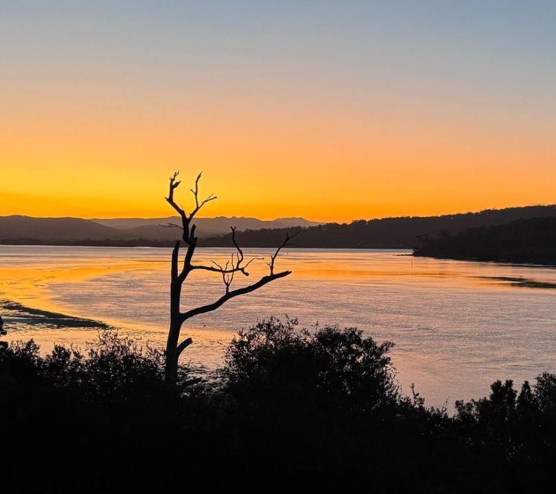 Photo of Others in Akaroa